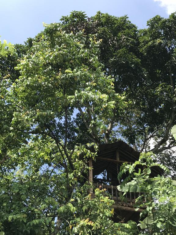 Plantation Retreat Hotel Pathadumbara Exterior photo